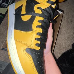 Jordan 1 “POLLEN”