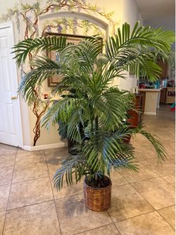 Artificial plants