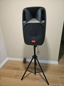 Party speaker