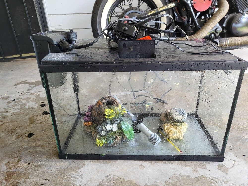 10 Gallon Fish Tank