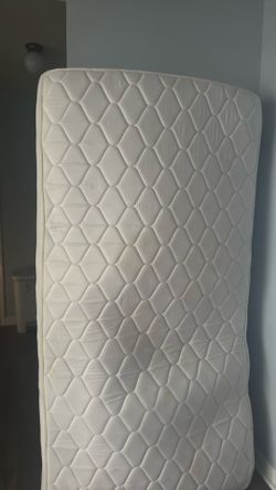 Free twin mattress