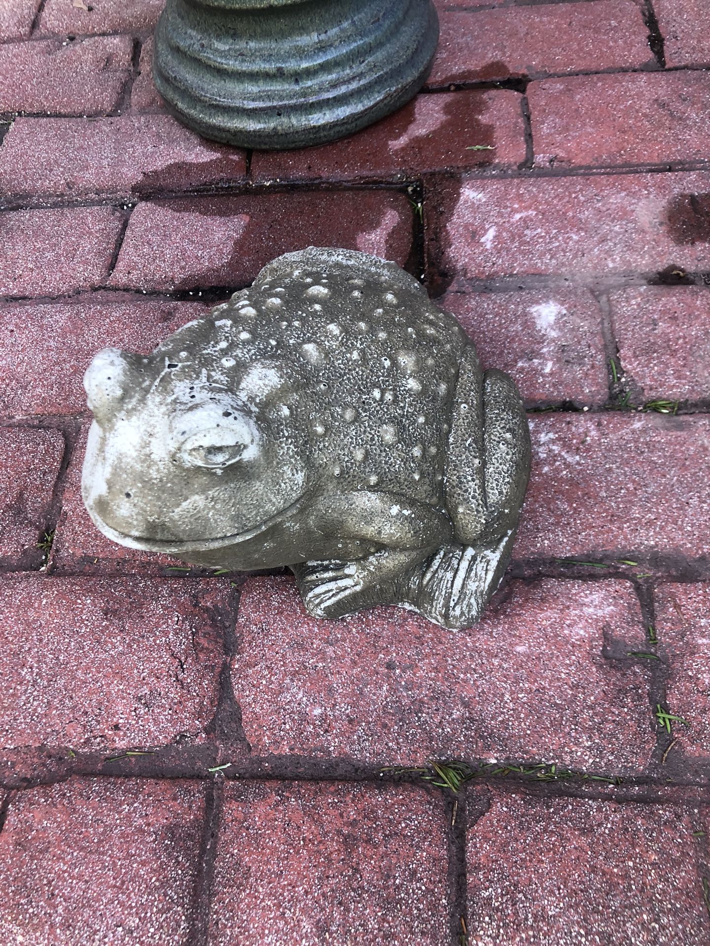 Concrete Frog