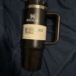 30oz Stanley 