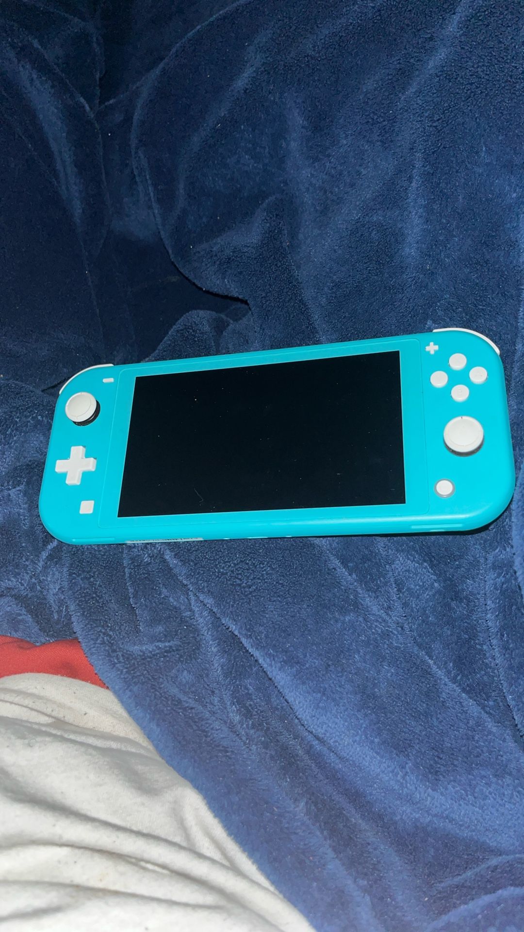 Nintendo Lite