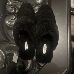 Slippers From Coach Outlet 