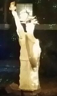 Christmas Outdoor Decorations 