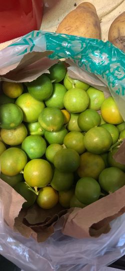 Calamansi Fruit 6$/lb