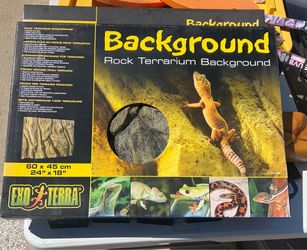 Reptile stuff
