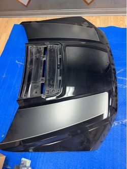 Ford F-150 Raptor Hood