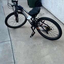 24” Schwinn Bike 