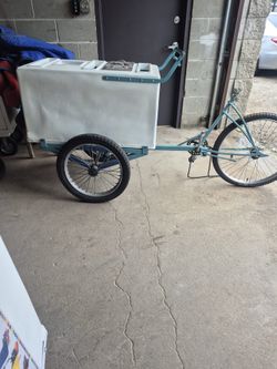 Triciclo de paletas