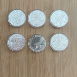 Collectible One dollar Coin (W Marked)