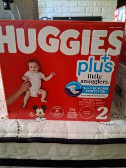 Buggies plus #2
