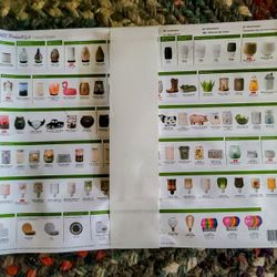 Scentsy Spring/Summer 2025 Product List 3-Pack