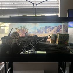 36×18×18 terrarium tank