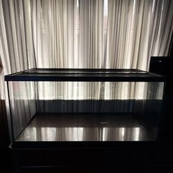 40 Gallon Terrarium/Enclosure