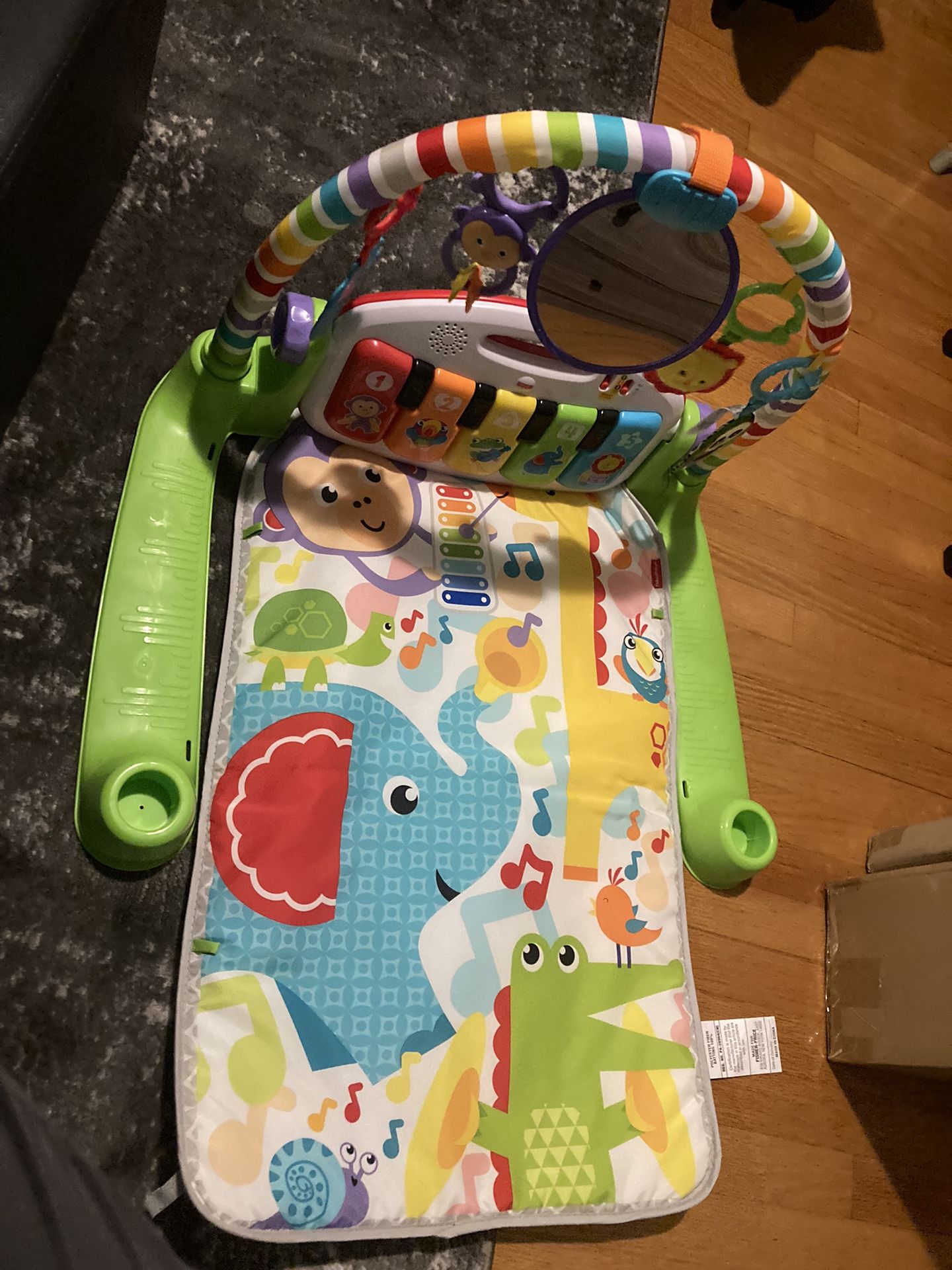 New Fisher Price Baby Playmat