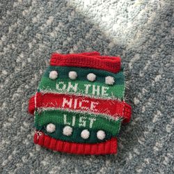 Guinea Pig Ugly Sweater Outfit 