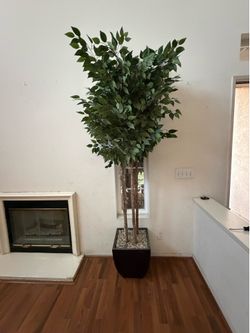 Clearing out house in Irvine