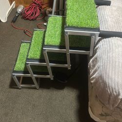 Doggie Steps New