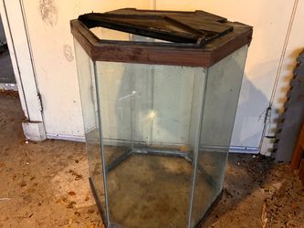 Hexagonal Glass Terrarium Tank