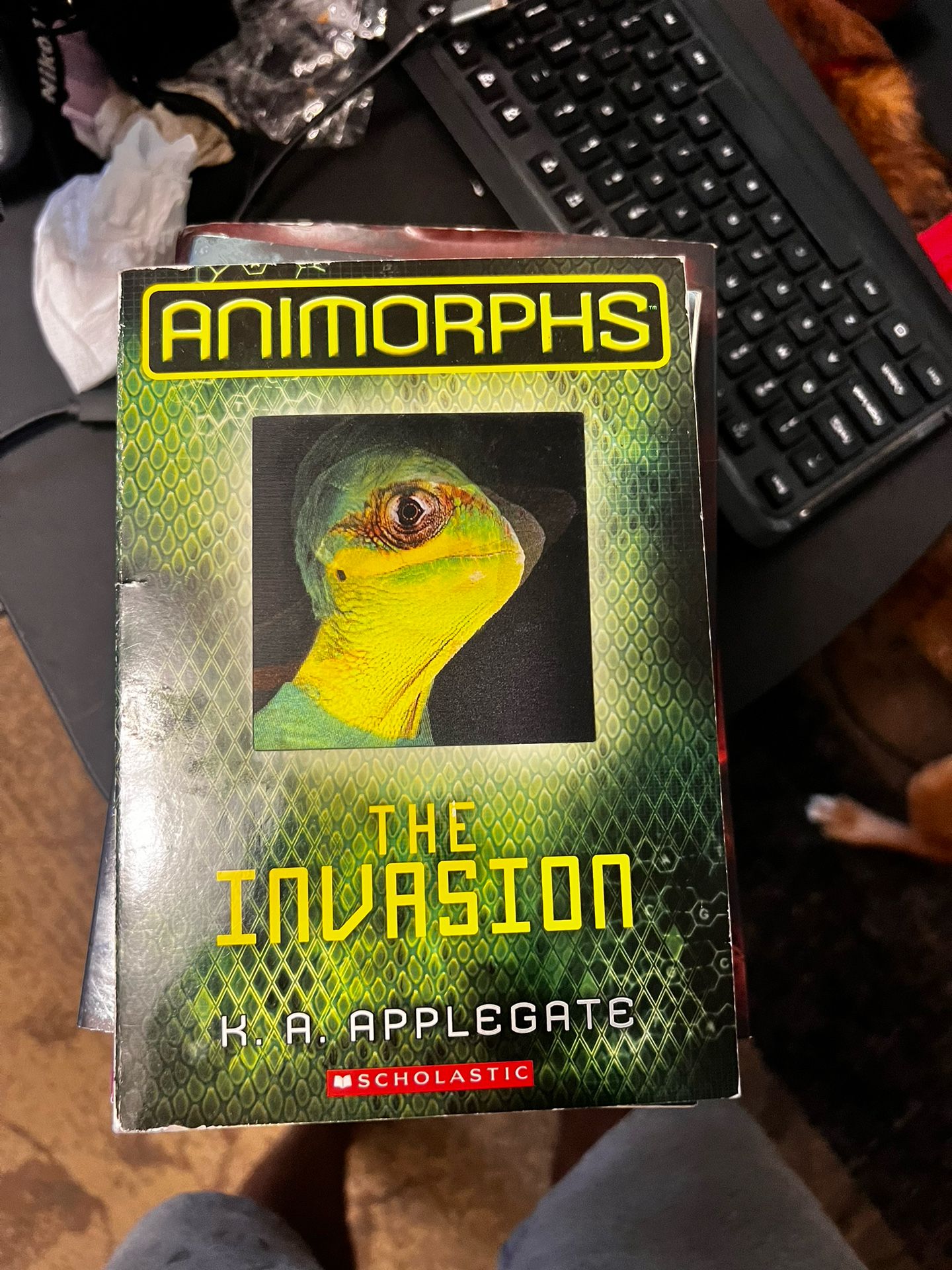 The Invasion 