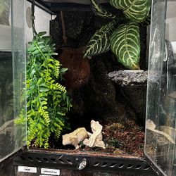 Reptile Tank For Crested Geckos