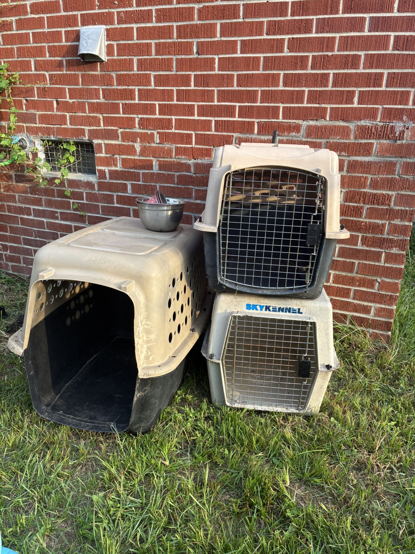 Dog Kennels