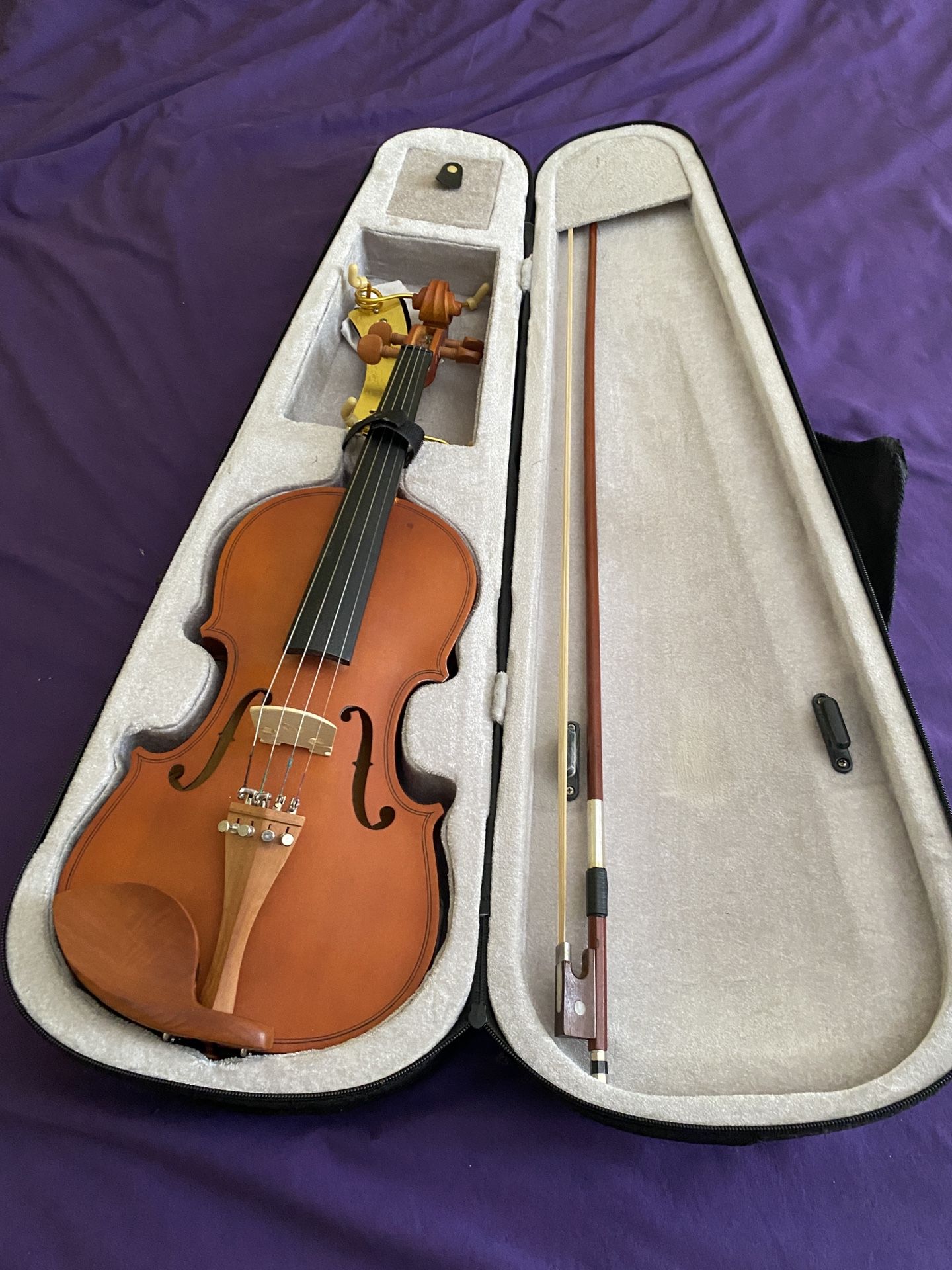 Violin