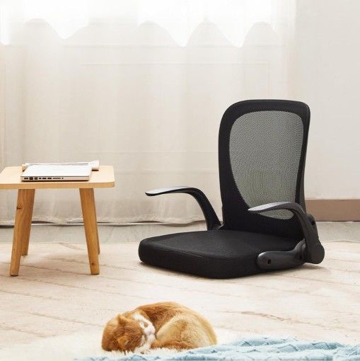 Ergonomic Floor Chair Foldable