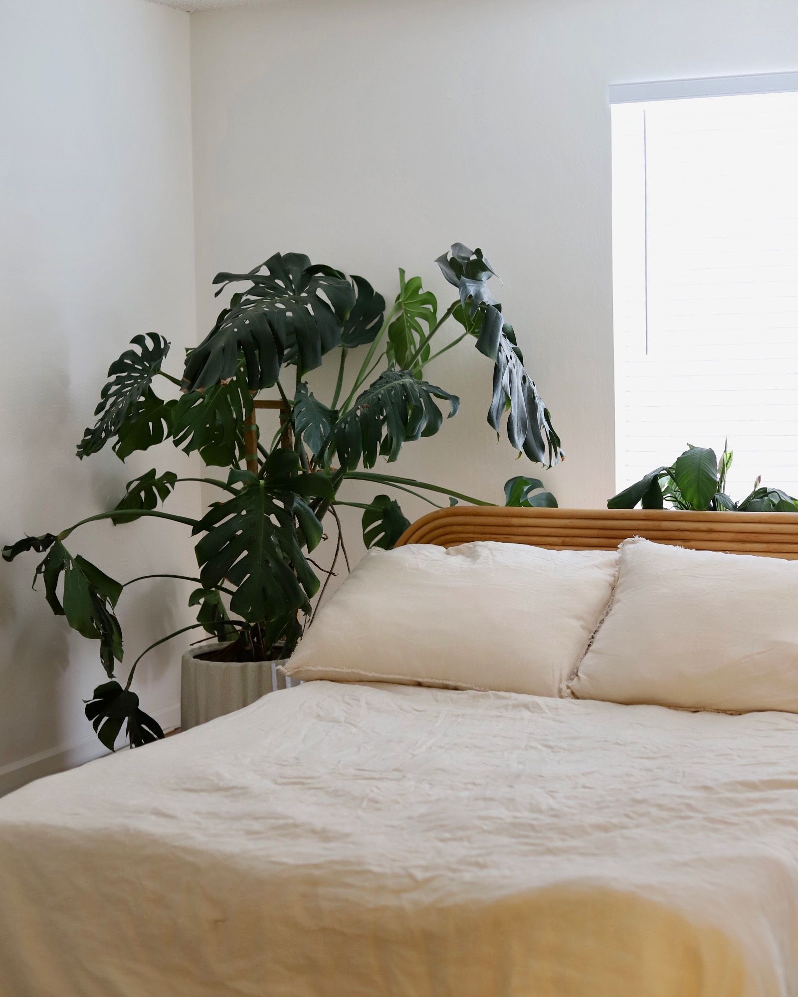 Ria rattan Bed Frame - Queen - Urban outfitters