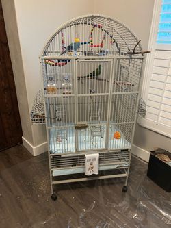 Bird Cage For Sale