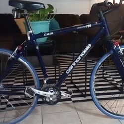 Cannondale Cab 1 Silk Path 700