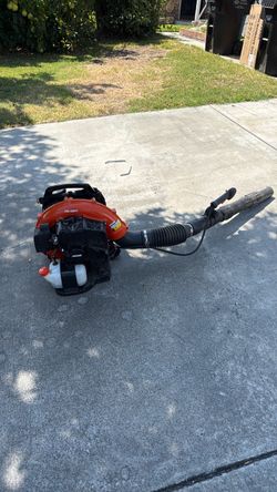Echo back blower