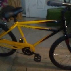 Schwinn Heavy Duty Beach Cruiser