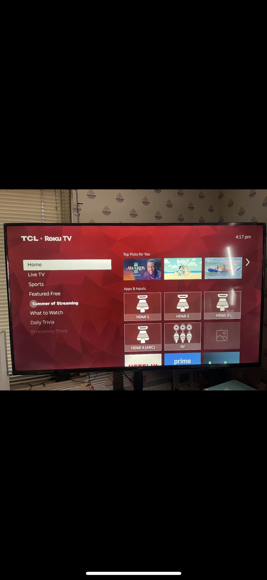 55” TCL Roku TV with stand from Amazon