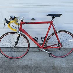 Specialized Road Bike