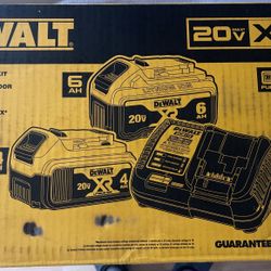 Dewalt 20v Battery Starter Kit 