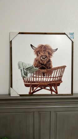 Baby highland cow Nursery