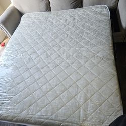 Queen Sofa Bed 