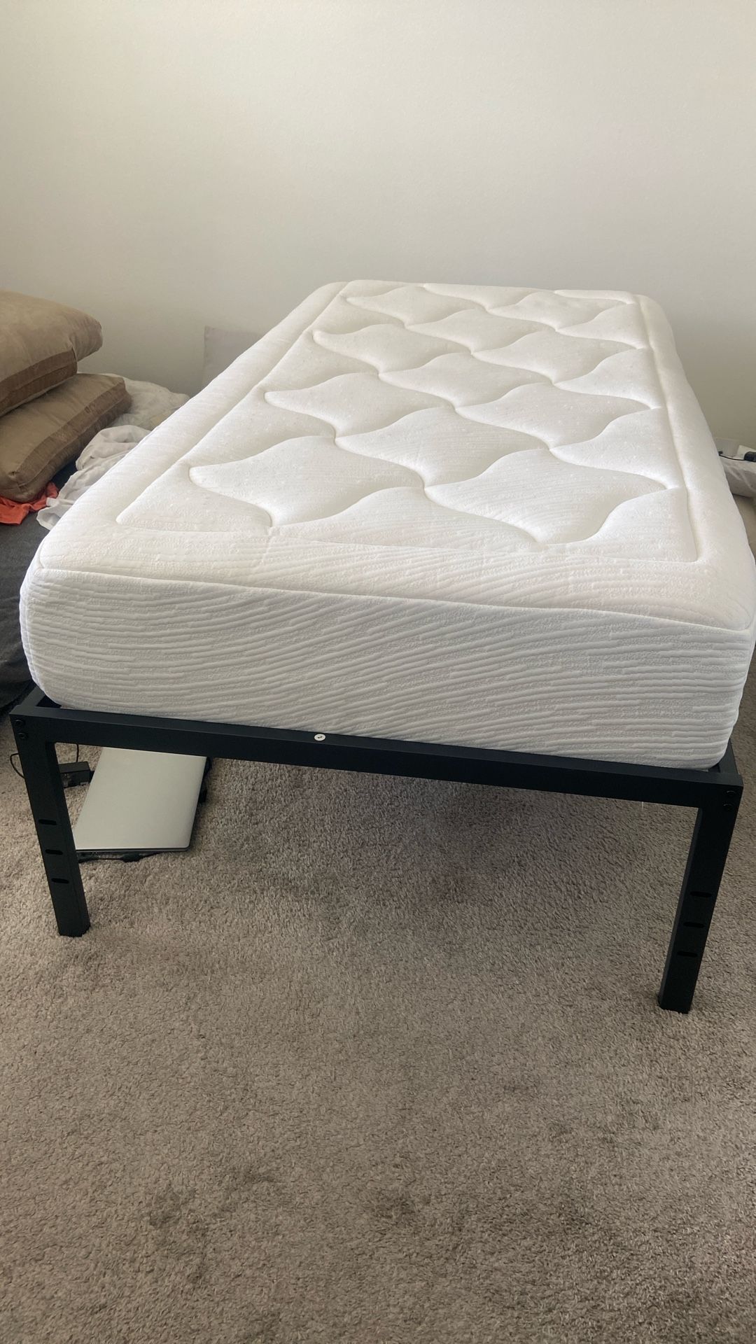 Twin Size Metal Platform Frame & Mattress (Zinus)