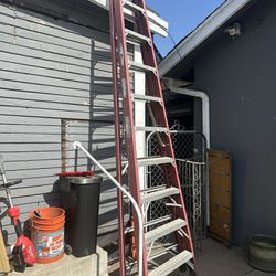 10’ Ladder 