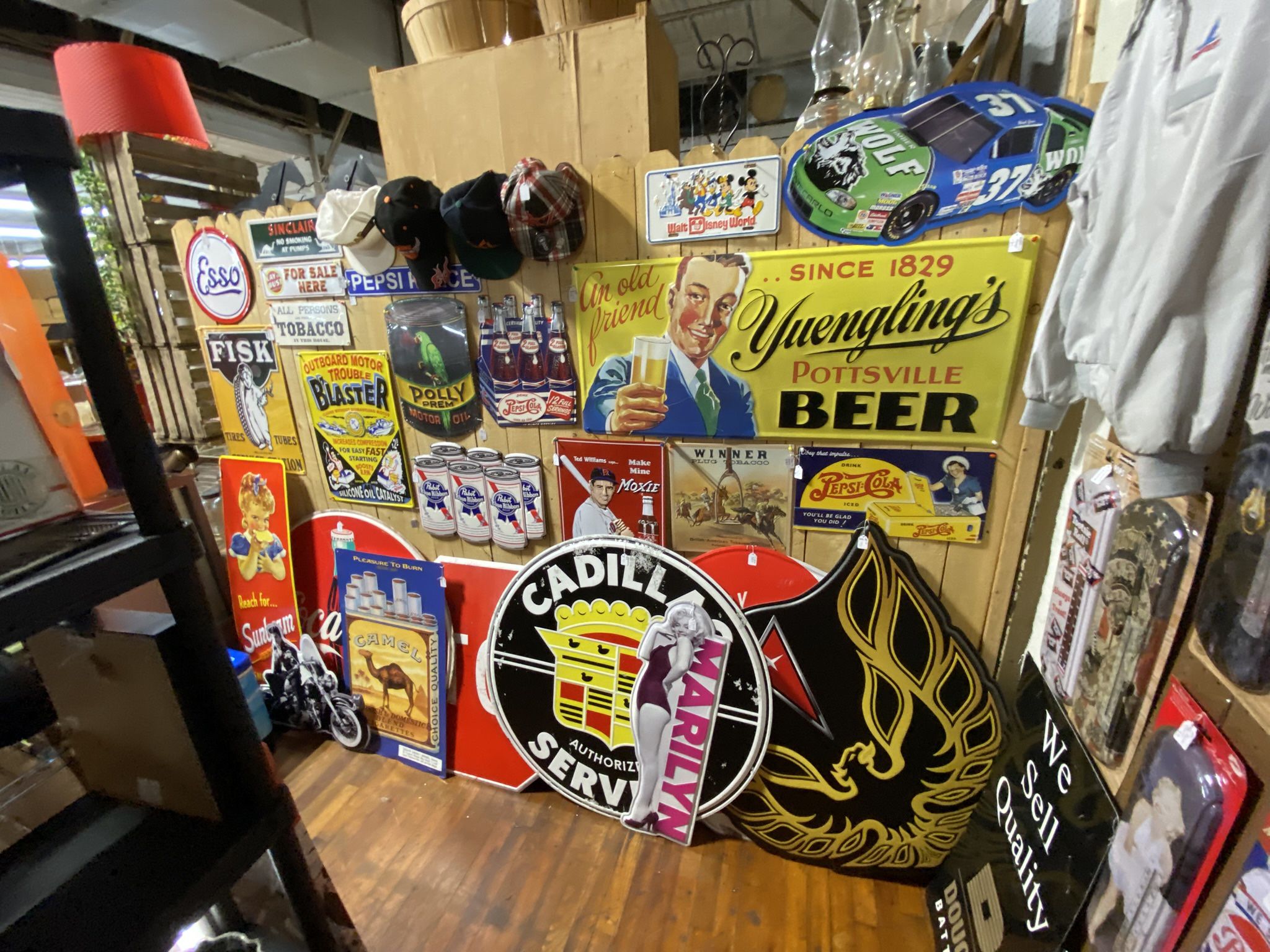 Signs And Signs