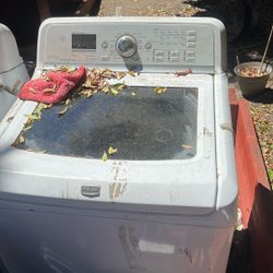 Wonderstruck by Taylor Swift