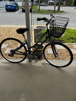 Giant cypress Bicycles