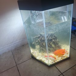 20 Gallon Hexagon Aquarium 