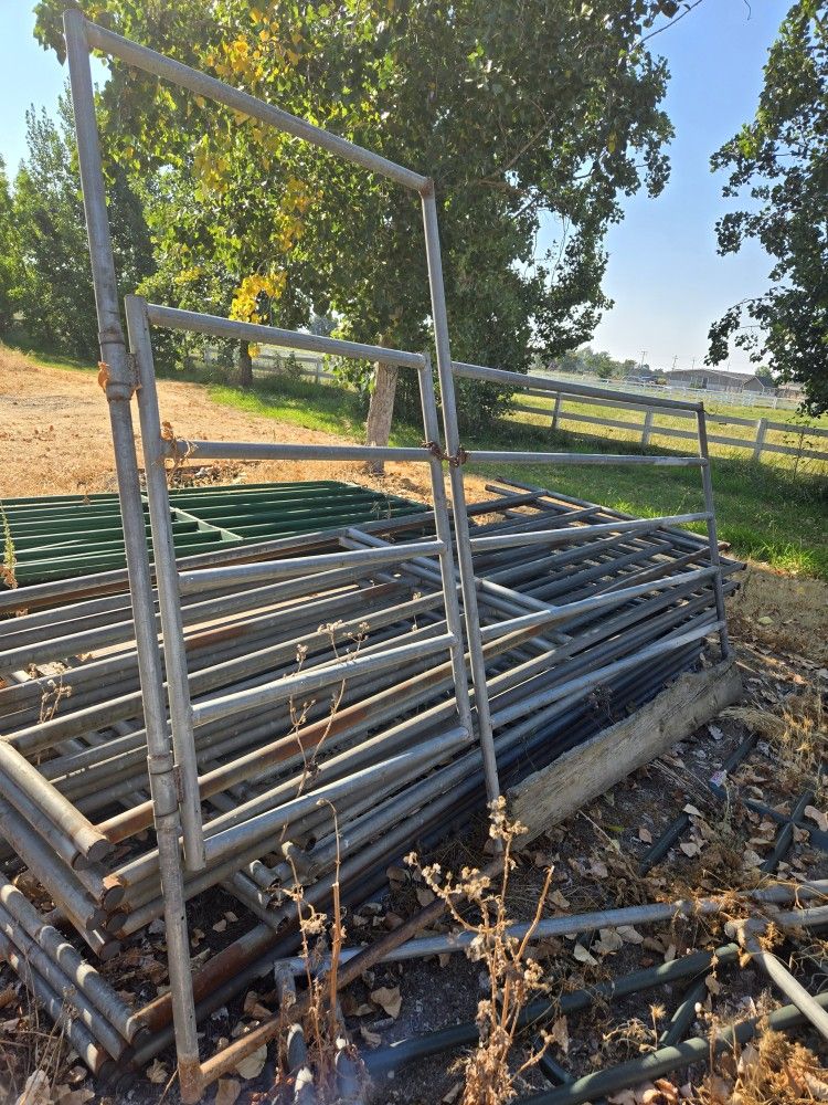 Horse Panels With Gate