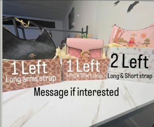 Woman bags