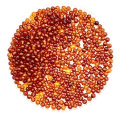 Over 4 Strands 450 4mm Amber Beads