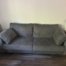 Brand new Couch and Rug (indoor/outdoor rug)